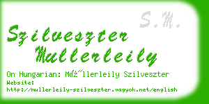 szilveszter mullerleily business card